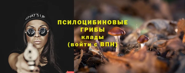 PSILOCYBIN Богородицк
