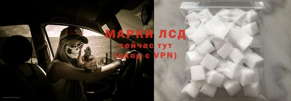 PSILOCYBIN Богородицк