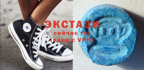 гидра Богданович