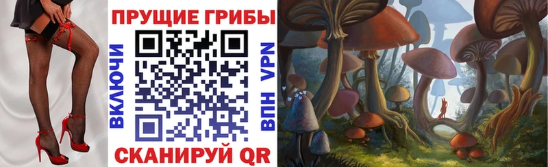 Галлюциногенные грибы MAGIC MUSHROOMS  где продают наркотики  нарко площадка официальный сайт  Славянск-на-Кубани 